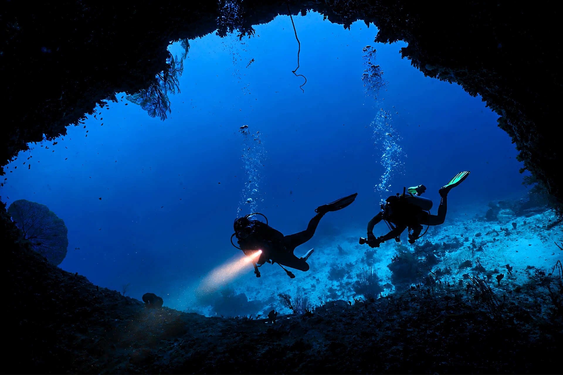 Visual konsep petualangan scuba diving di bawah laut